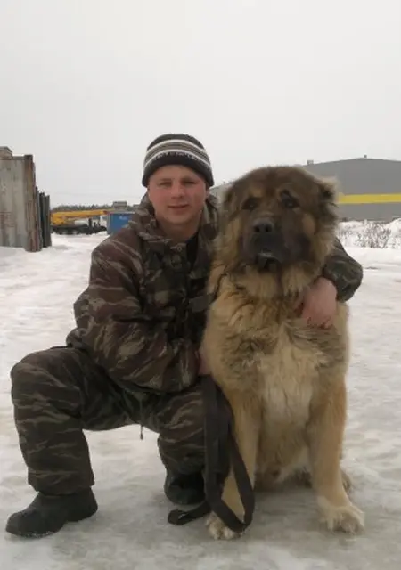 Адександр из Егорьевска, ищу на сайте знакомства без обязательств