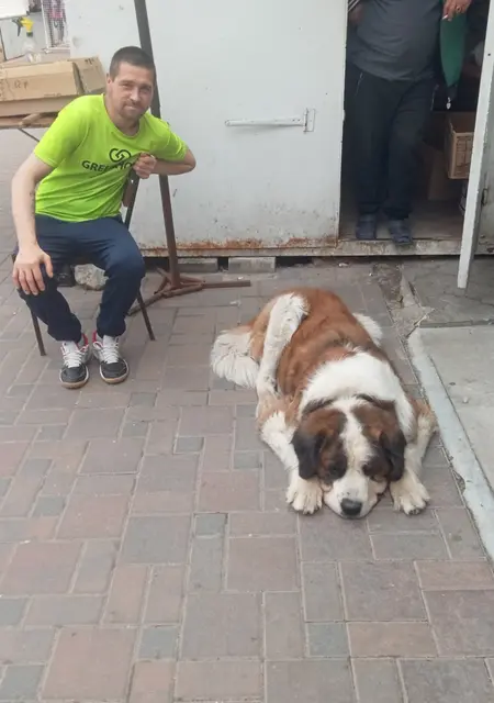 Я Дима, 41 років, знайомлюсь без зобов'язань у Житомире