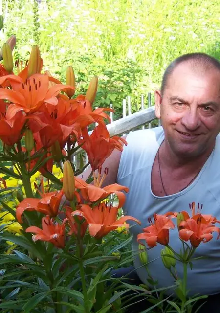 Странник из Великого Новгорода, ищу на сайте знакомства на одну ночь