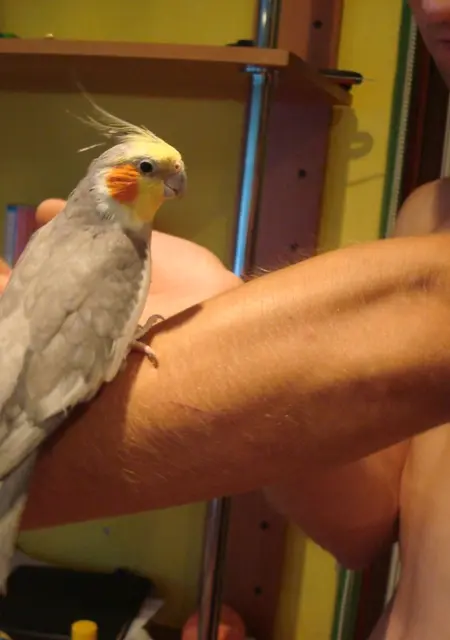 Анрдрей из Электростали, ищу на сайте знакомства на одну ночь