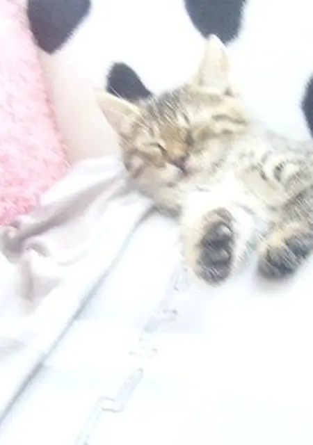 Я Алексей, 42, знакомлюсь без обязательств в Белореченске