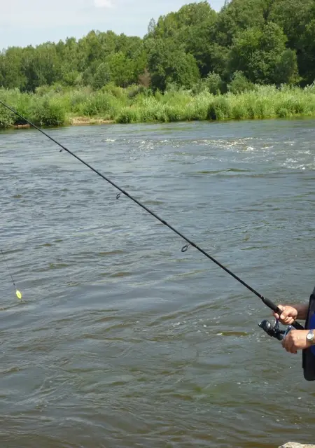 Dimon из Каменска-Уральского, мне 65, познакомлюсь без обязательств