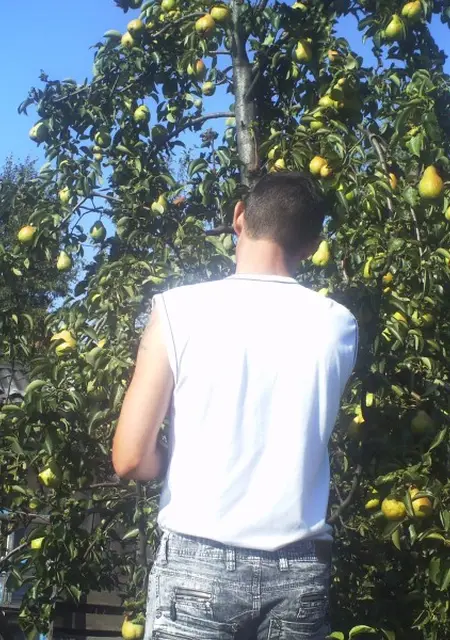 Я Вова, 49, знакомлюсь без обязательств в Клинцах