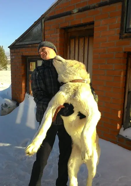 Николай из Прокопьевска, мне 36, познакомлюсь без обязательств