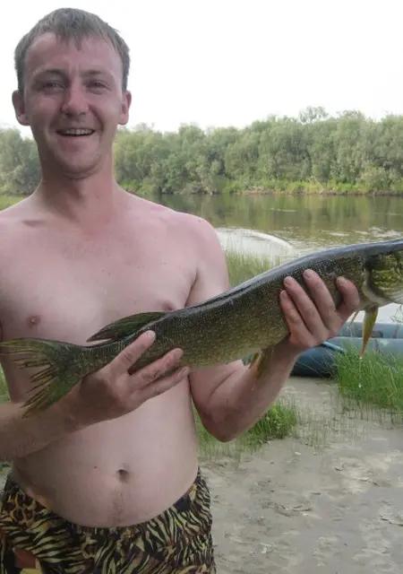 Я Алексей, 42, из Архангельска, ищу знакомство для общения