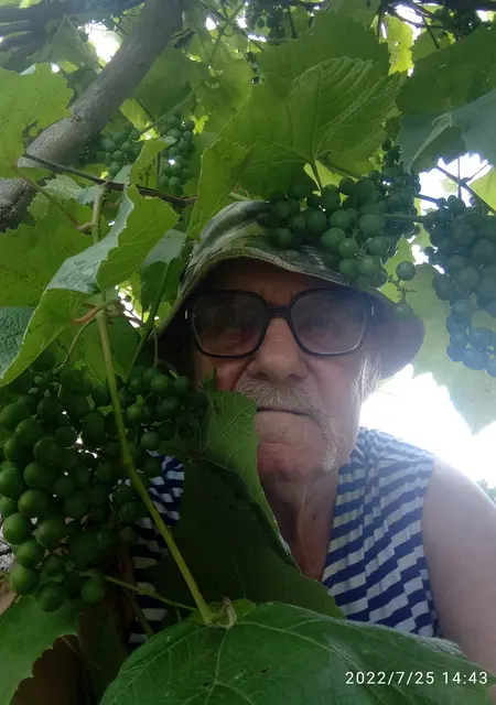 Я Валерий, 77, знакомлюсь на одну ночь в Санкт-Петербурге