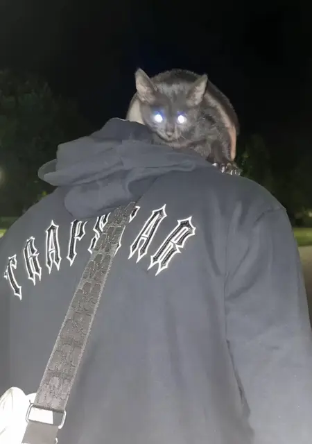 Кирилл из Октябрьского, мне 18, познакомлюсь на одну ночь