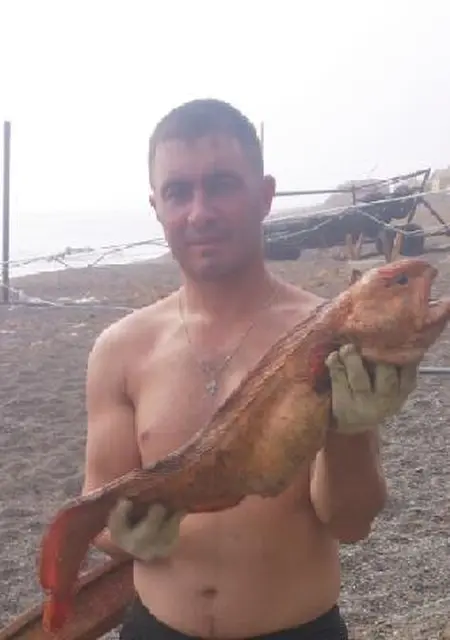 Коля из Макарова, мне 41, познакомлюсь для общения