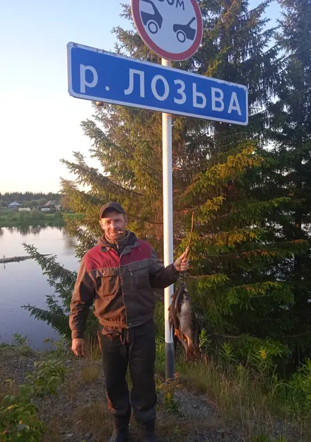 Я Владимир, 41, знакомлюсь на одну ночь в Краснотурьинске