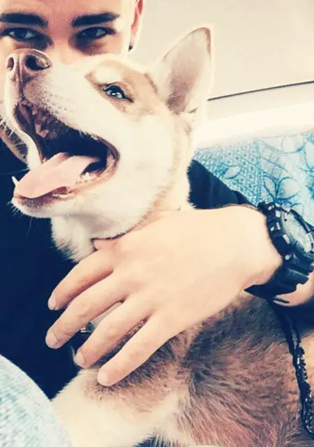 Дима из Керчи, ищу на сайте знакомства на одну ночь