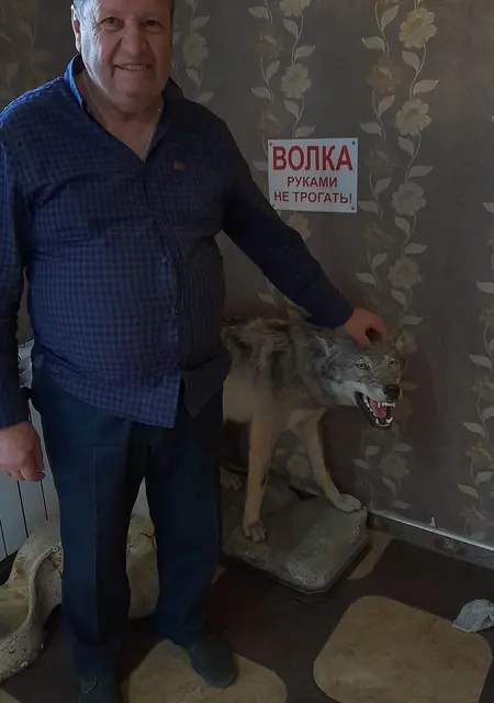 Волк из Лермонтова, ищу на сайте вирта
