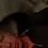 Я Саша, 53, из Раменского, ищу знакомства без обязательств